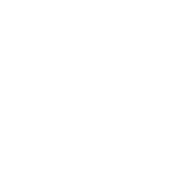 bi-professionals bi-professionals